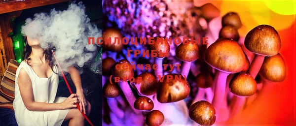 прущая мука Аркадак