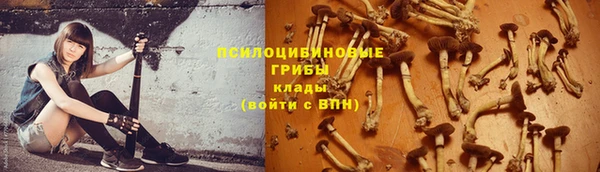 ALPHA-PVP Арсеньев